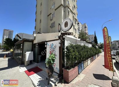 İşyeri-Kafe & Bar