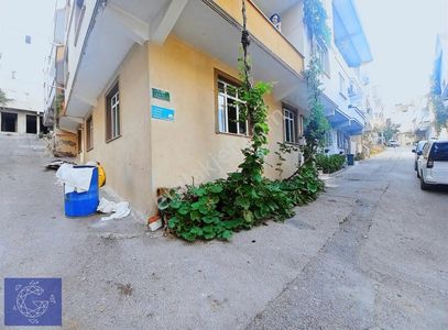 Konut-Daire