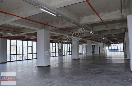 İşyeri-Plaza Katı
