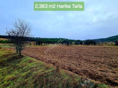 Arsa-Tarla