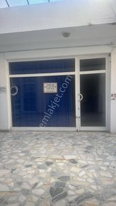 İşyeri-Dükkan & Mağaza