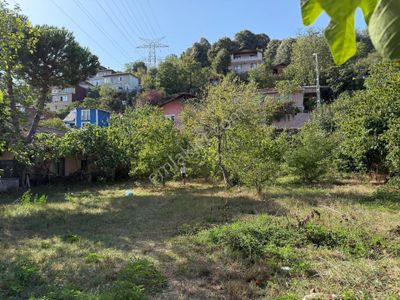 Arsa-Bağ & Bahçe