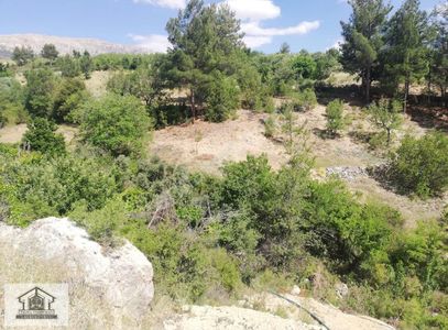 Arsa-Tarla