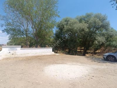 Arsa-Tarla