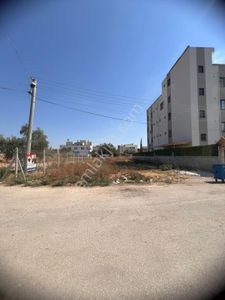 Arsa-Konut İmarlı