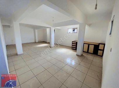 İşyeri-Dükkan & Mağaza