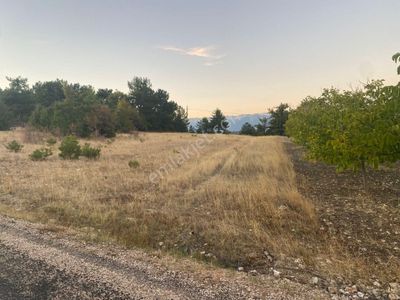Arsa-Tarla
