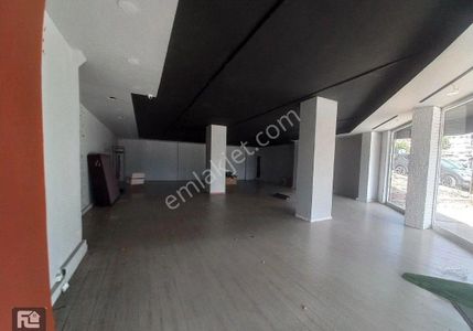 İşyeri-Dükkan & Mağaza