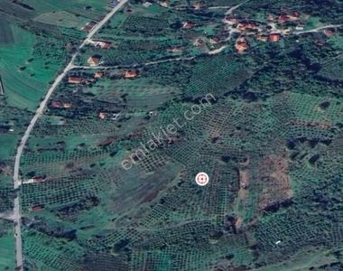 Arsa-Tarla