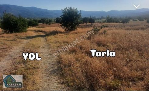 Arsa-Tarla