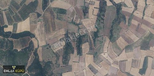 Arsa-Tarla