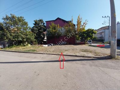 Arsa-Konut İmarlı