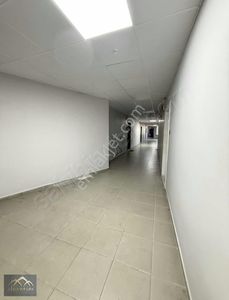 İşyeri-İşhanı Katı