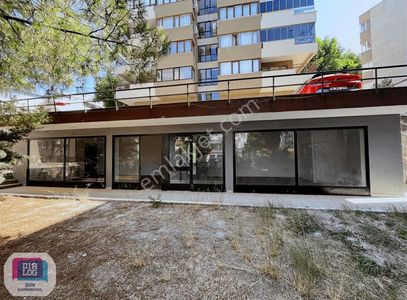 İşyeri-Dükkan & Mağaza