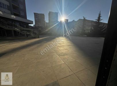 İşyeri-Dükkan & Mağaza