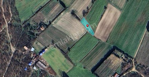 Arsa-Tarla