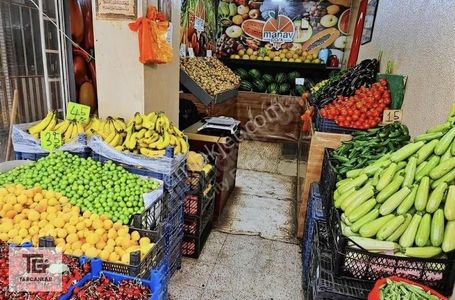 İşyeri-Dükkan & Mağaza