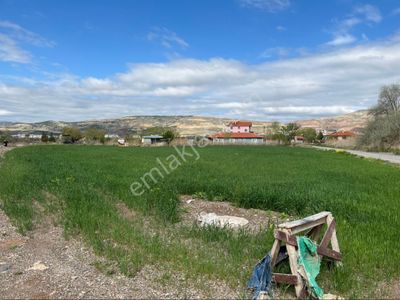 Arsa-Tarla