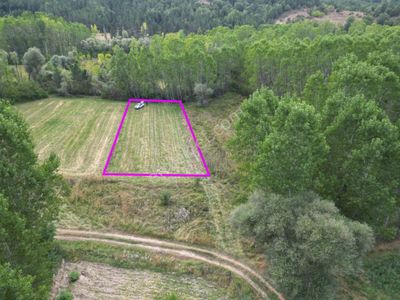 Kütahya Gediz Yağmurlar Köyü 1316 M2 Satılık Yatırımlık Verimli Tarla