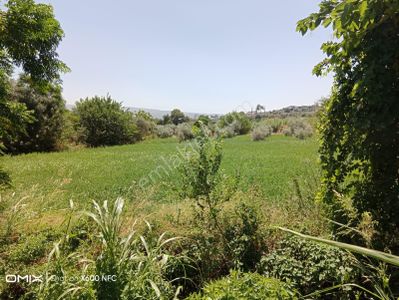 Arsa-Tarla