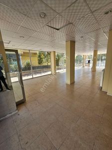 İşyeri-Dükkan & Mağaza