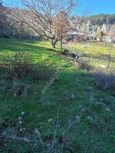 Arsa-Tarla