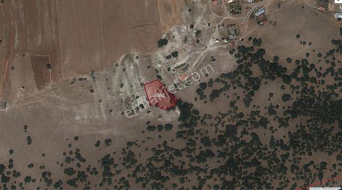 Arsa-Tarla