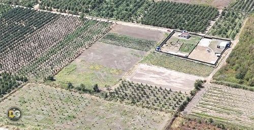 Bursa Gürsu Kazıklı Fırsat Hobi Bahçeleri