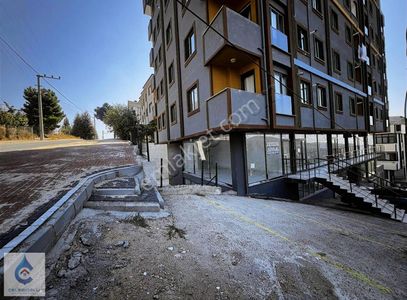 İşyeri-Dükkan & Mağaza