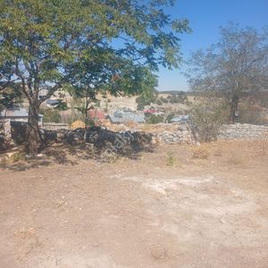 Arsa-Arazi