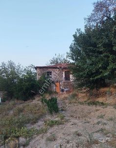 Konut-Müstakil Ev