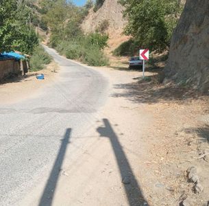 Arsa-Zeytinlik