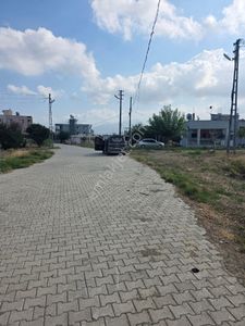 Arsa-Konut İmarlı