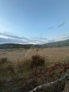 Arsa-Tarla