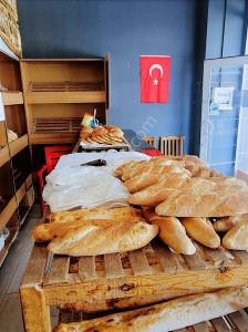 İşyeri-Dükkan & Mağaza