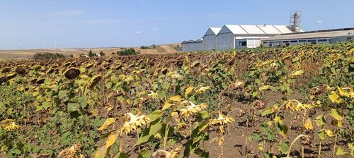 Silivri Kadıköy Mahallesinde 750 M² Satılık Tarla