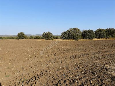 Arsa-Tarla