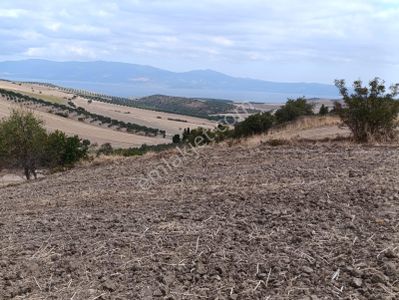 Arsa-Tarla