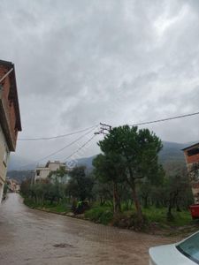 Arsa-Tarla