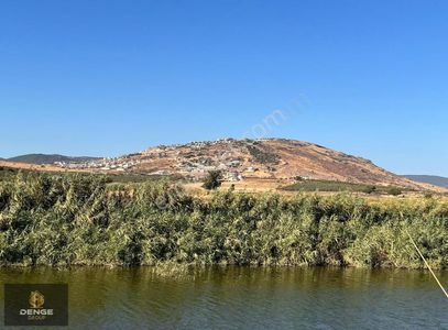 Arsa-Bağ & Bahçe