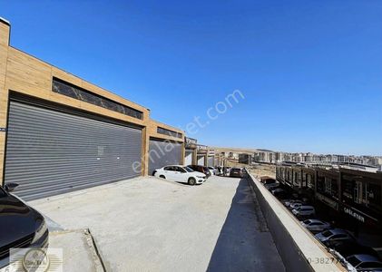 İşyeri-Dükkan & Mağaza