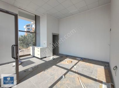 İşyeri-Dükkan & Mağaza