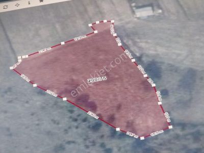 Arsa-Tarla