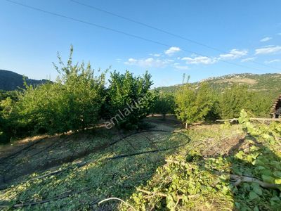 Arsa-Bağ & Bahçe