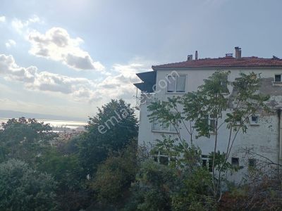Arsa-Konut İmarlı
