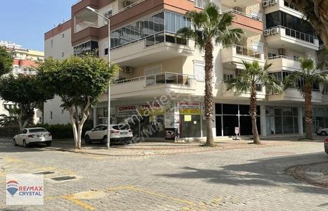 İşyeri-Dükkan & Mağaza