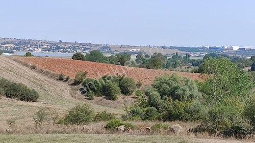 Arsa-Tarla