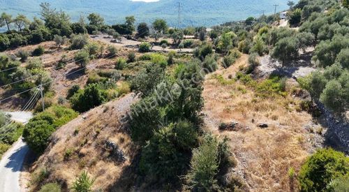 Arsa-Konut İmarlı