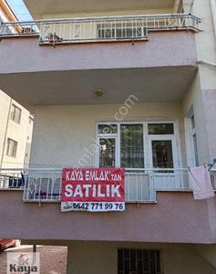 Konut-Daire