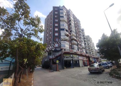 İşyeri-Dükkan & Mağaza